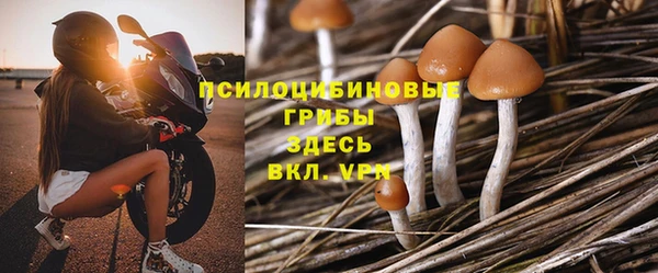 прущий лед Алексеевка