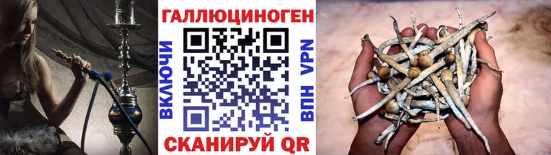 Галлюциногенные грибы прущие грибы  Соликамск 